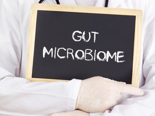 gut health a part of weight loss